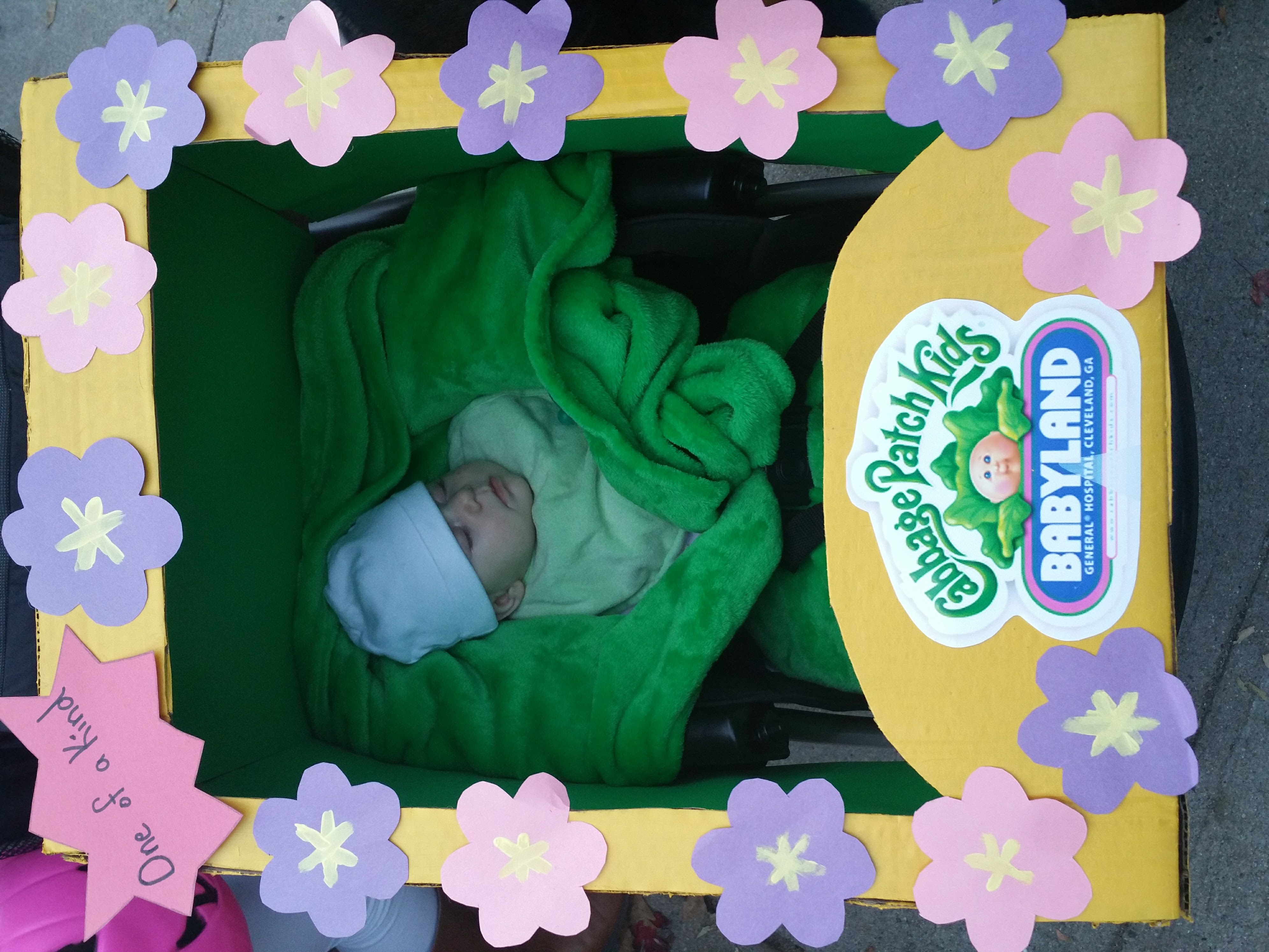 Cabbage Patch picture